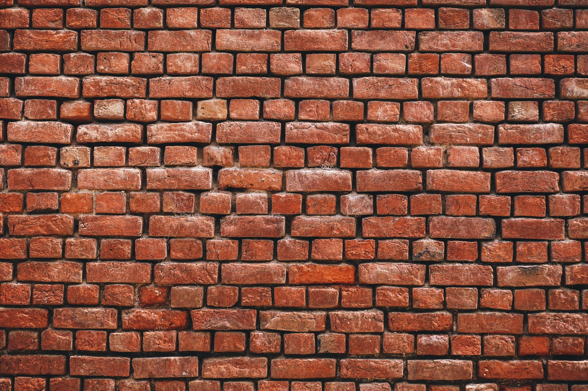 photography of brickwall