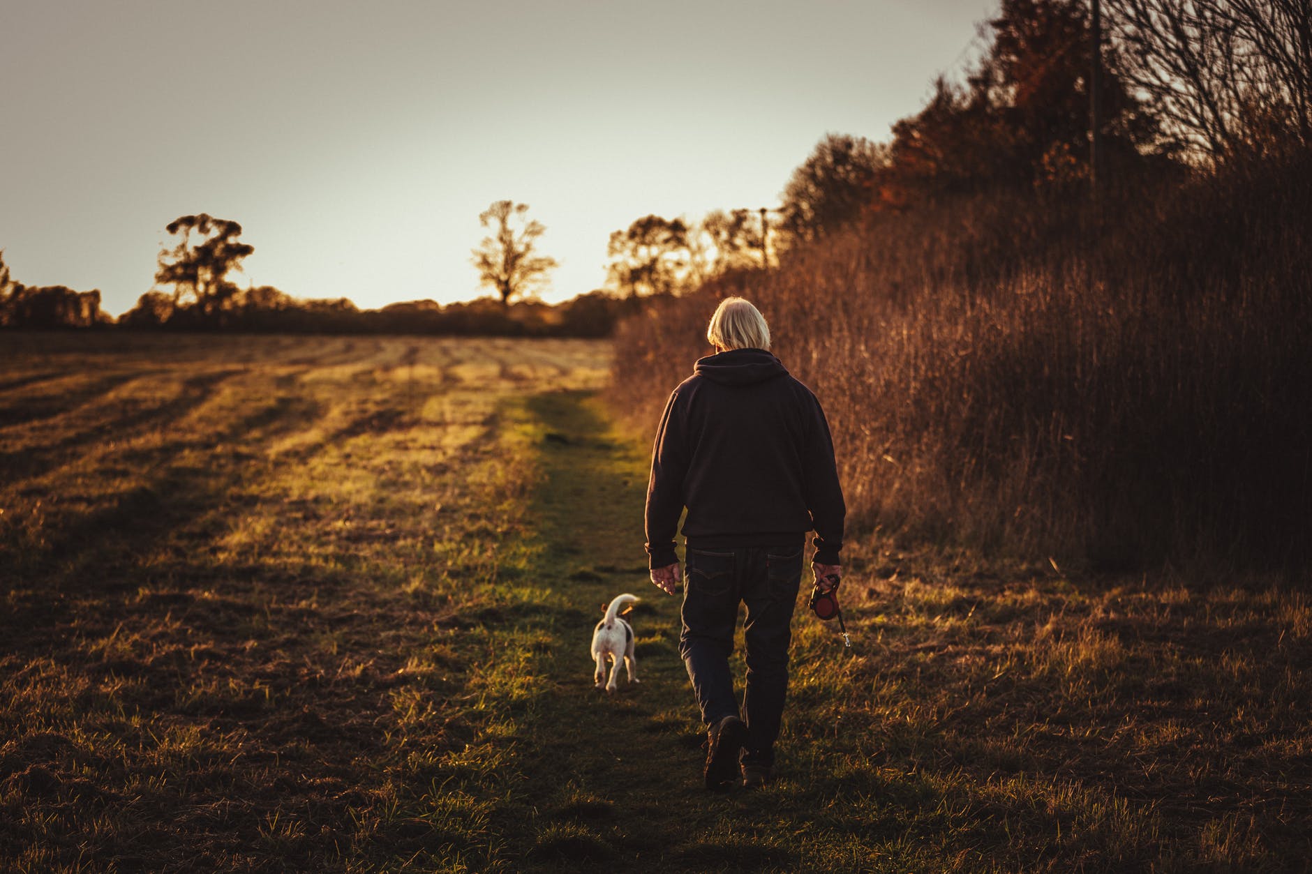 person walking with puppy near trees
